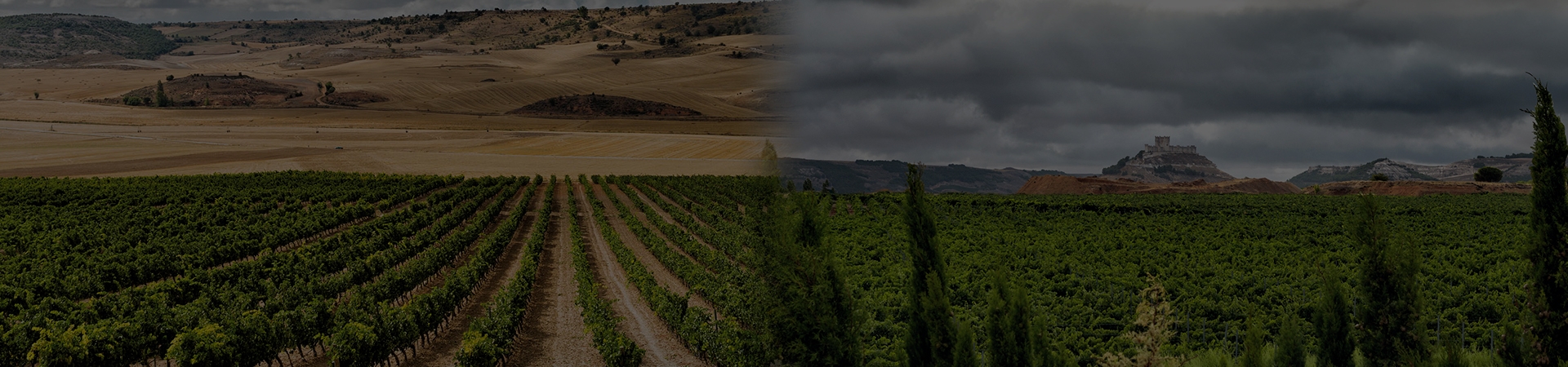 Alma Serena, Bodegas Penafiel, Ribera Del Duero Alma Serena, Bodegas Penafiel, Ribera Del Duero