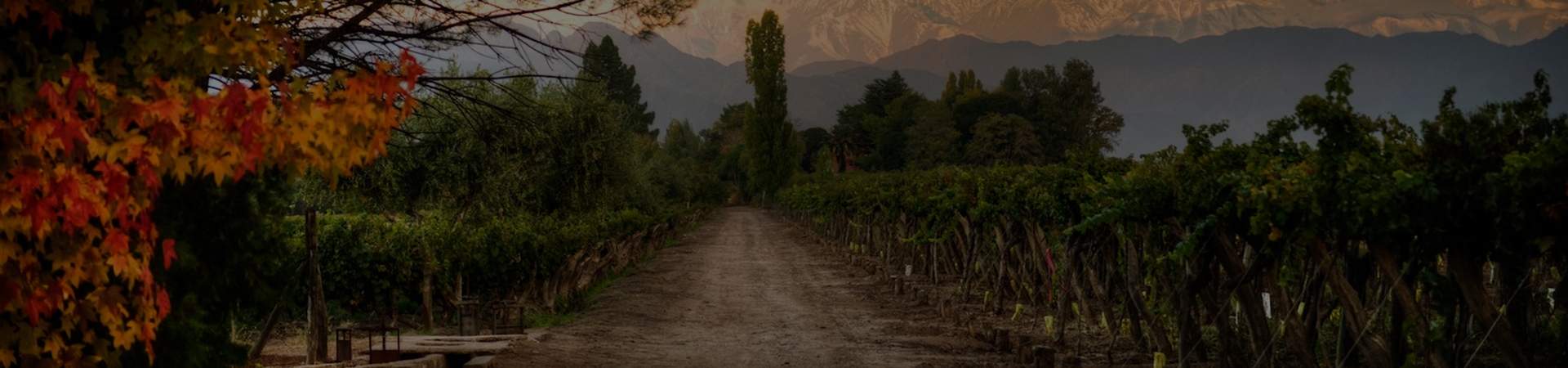 Kaiken, Mendoza Kaiken, Mendoza