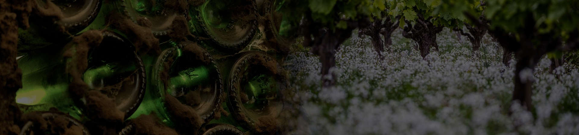 Segura Viudas Cava Segura Viudas Cava