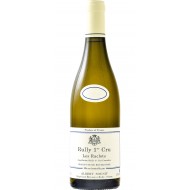 RullyBlanc1erCru2017LesRaclotsAlbertSounit-20