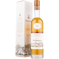 DelamainXOPaleandDryCognac4020cl-20